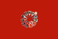 阿坝黑水回收红酒